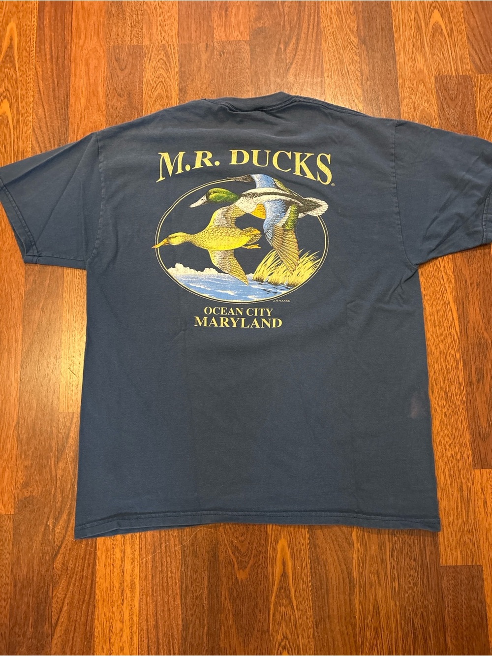 MR DUCKS Ocean City Maryland OCMD Y2K Vintage Blue Tshirt Size Large
